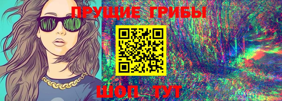 Галлюциногенные грибы Psilocybe Туймазы