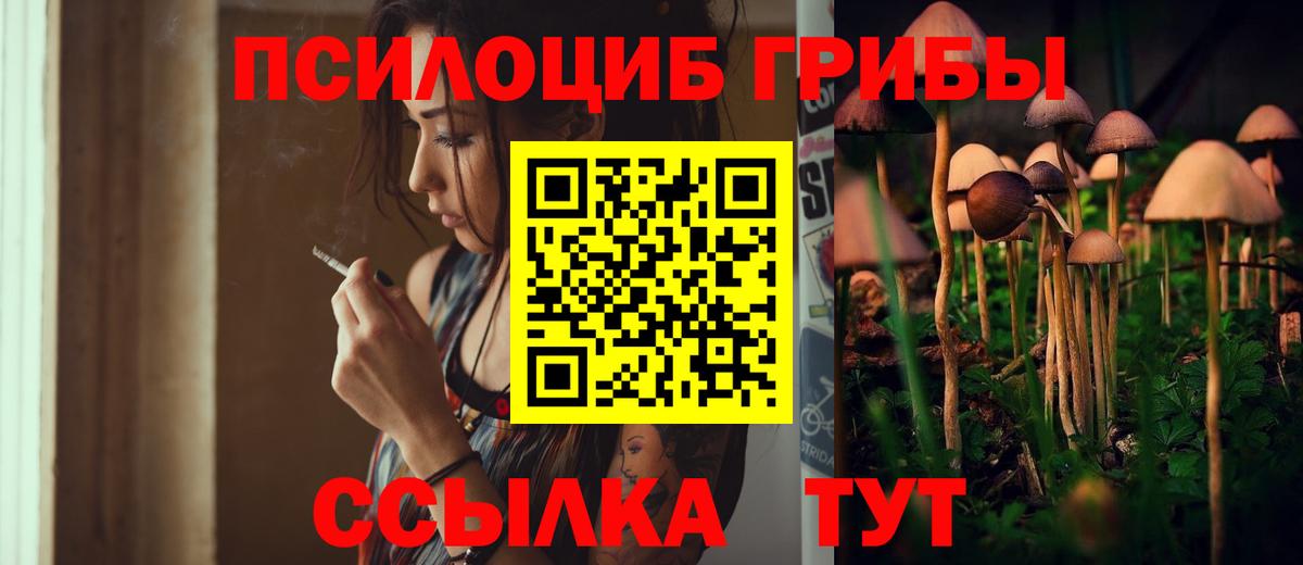 Псилоцибиновые грибы Psilocybine cubensis  Вход с VPN  закладки  Туймазы 